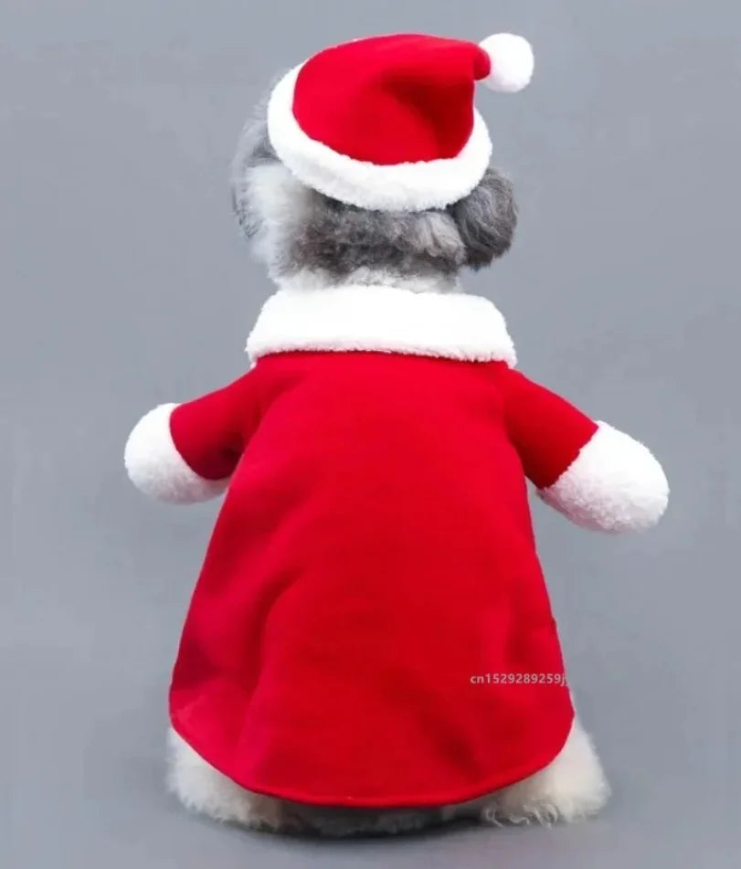 Pet Christmas Clothes Santa Claus Dog/Cat Costume