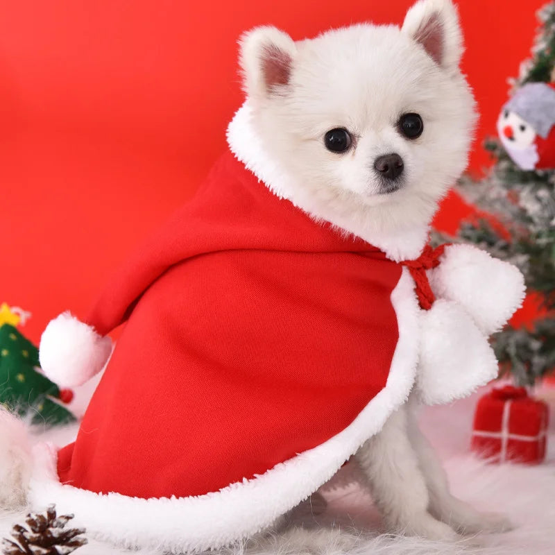 Christmas Santa Pet Costume Set Dog Cat Puppy Santa Hat And Scarf New Year Holiday Gift