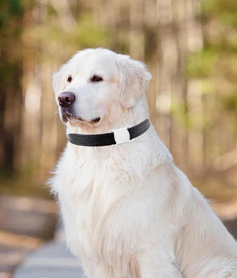 Mini Pet GPS Locator Tracker Waterproof Tracking Dog/Cat