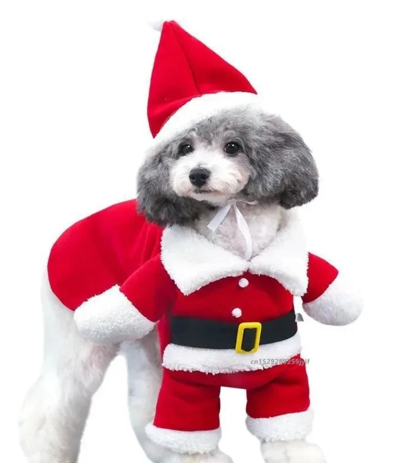 Pet Christmas Clothes Santa Claus Dog/Cat Costume