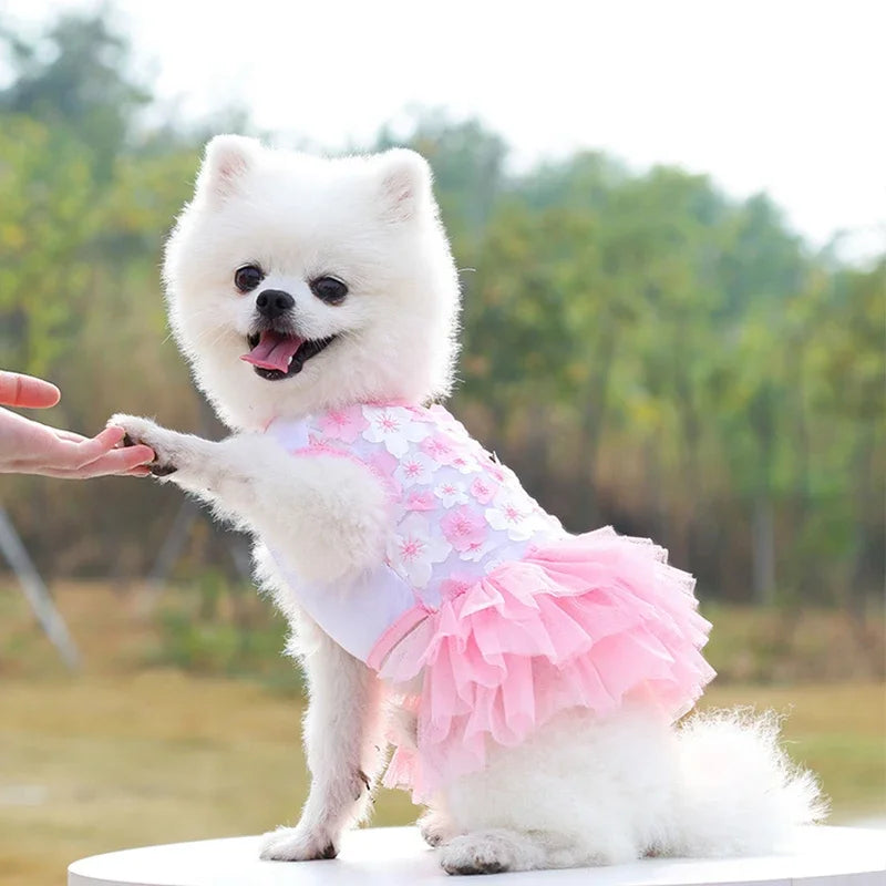 Flowers Fashion Party Lace Chiffon Dress For Small Dog