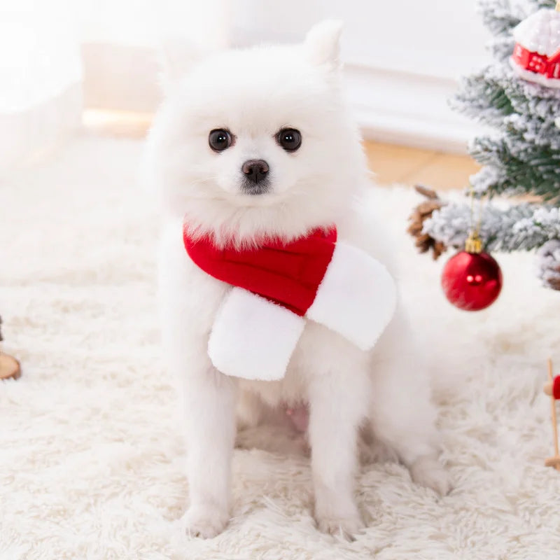Christmas Santa Pet Costume Set Dog Cat Puppy Santa Hat And Scarf New Year Holiday Gift