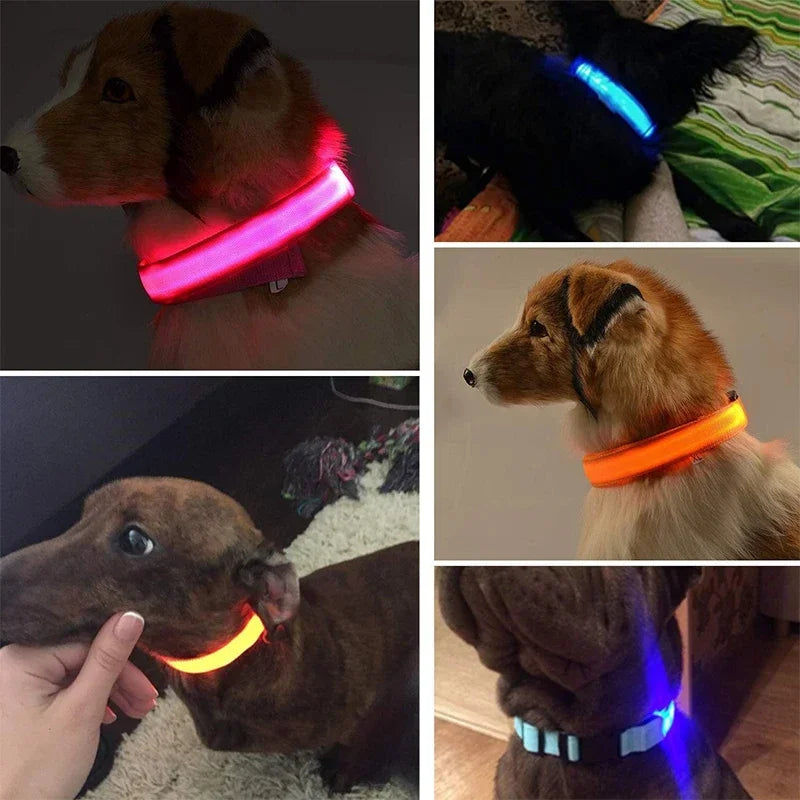 LED Glowing Dog Collars Waterproof Safety Necklace