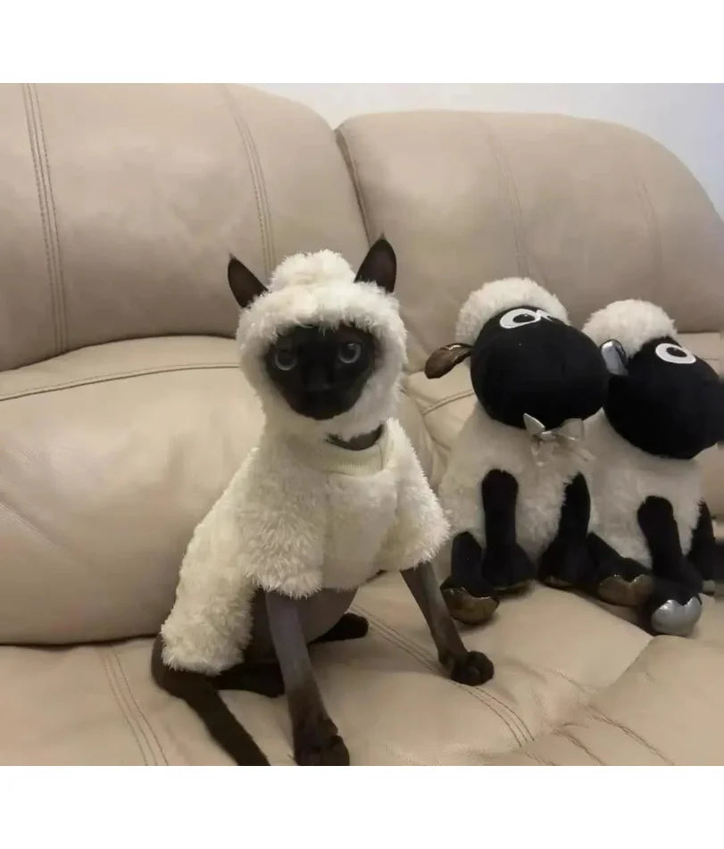 Hairless cat clothes autumn and winter thickened polar fleece warm four-legged sphinx devon cat lamb double-sided fleece cotton