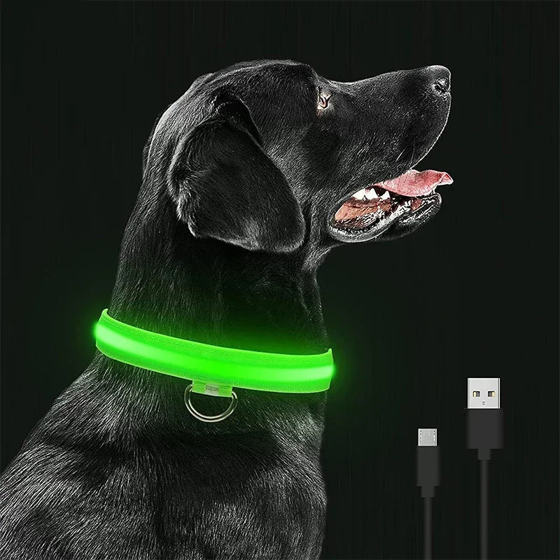 LED Glowing Dog Collars Waterproof Safety Necklace