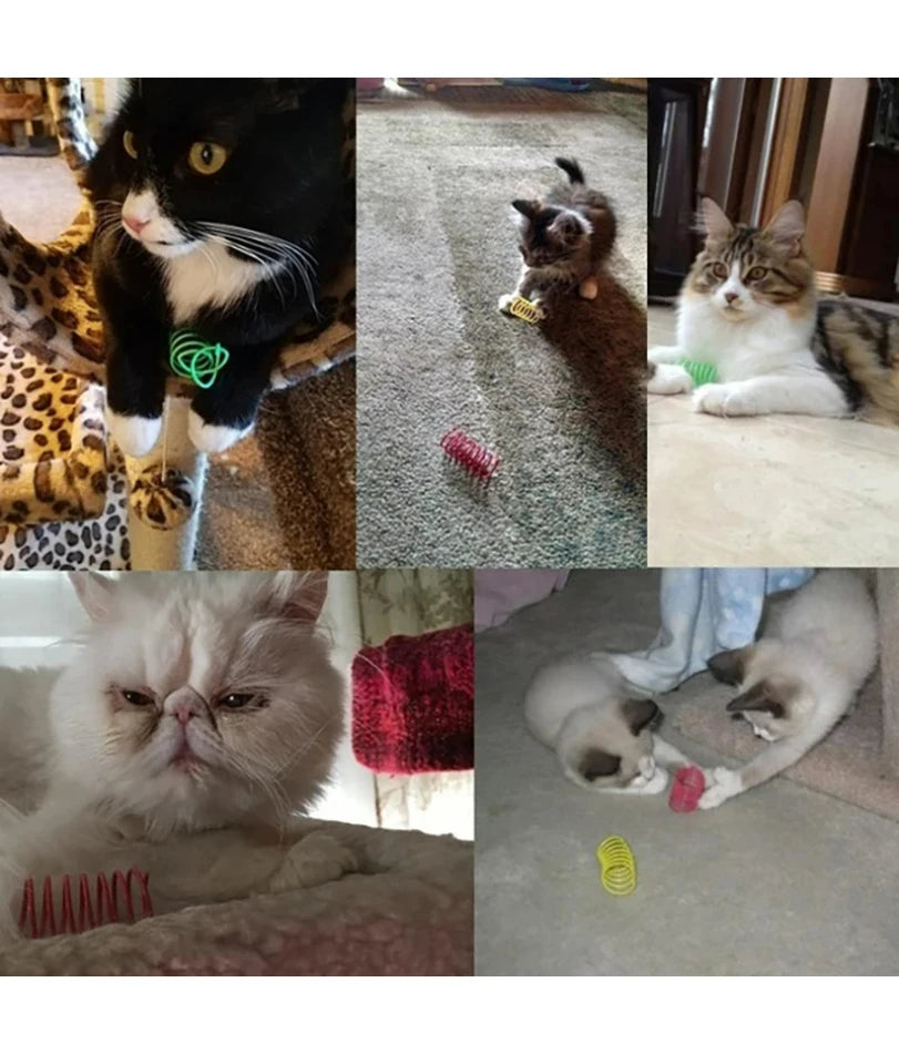 Cat Toys Wide Durable Heavy Gauge Cat Spring Toy 4/8/16/20pcs